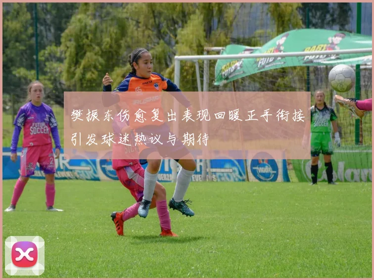 樊振东伤愈复出表现回暖正手衔接引发球迷热议与期待