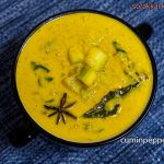 Ridge gourd masala curry